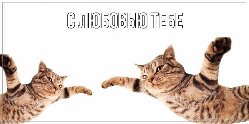 Картинка Как дела, Милый