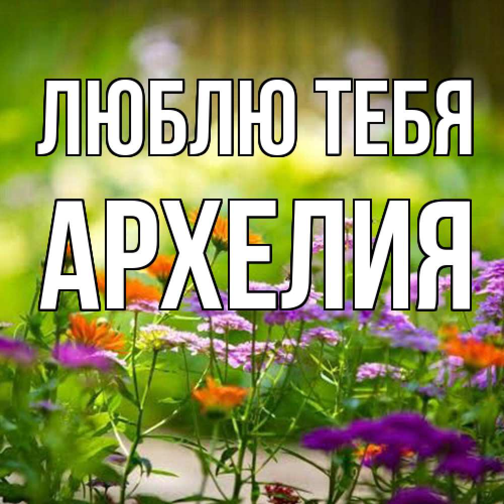 Открытка на каждый день с именем, Архелия Люблю тебя цветы Прикольная открытка с пожеланием онлайн скачать бесплатно 