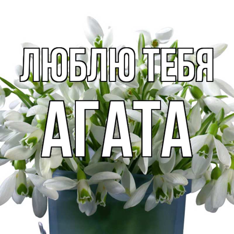 Картинка Люблю тебя, Агата