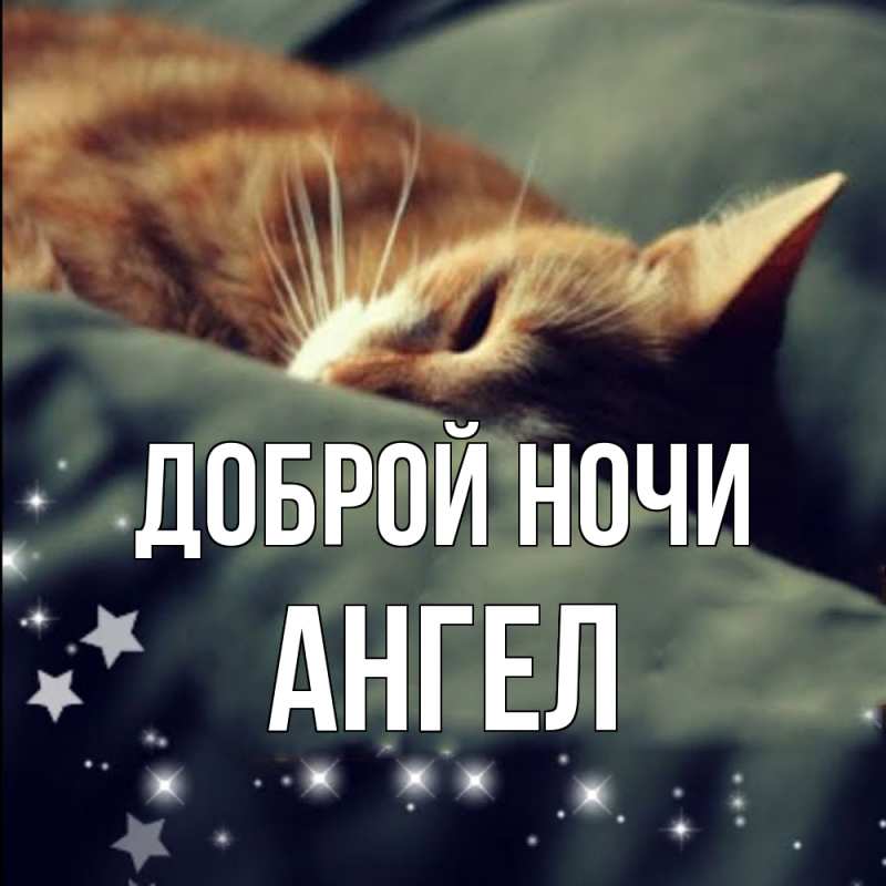 Картинка Доброй ночи, Ангел