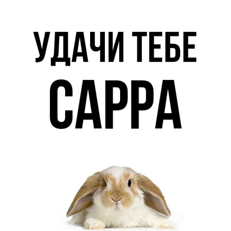 Картинка Удачи тебе, Сарра