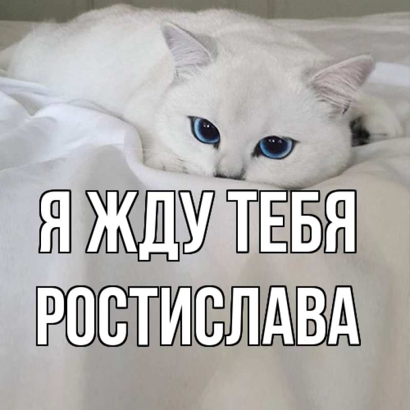 Открытка с именем, Ростислава, Я жду тебя