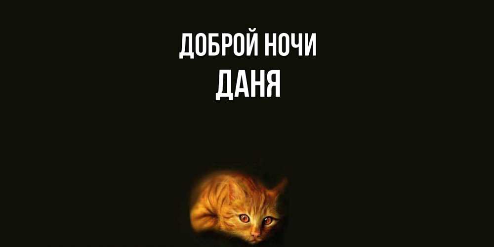 Открытка на каждый день с именем, Даня Доброй ночи кот Прикольная открытка с пожеланием онлайн скачать бесплатно 