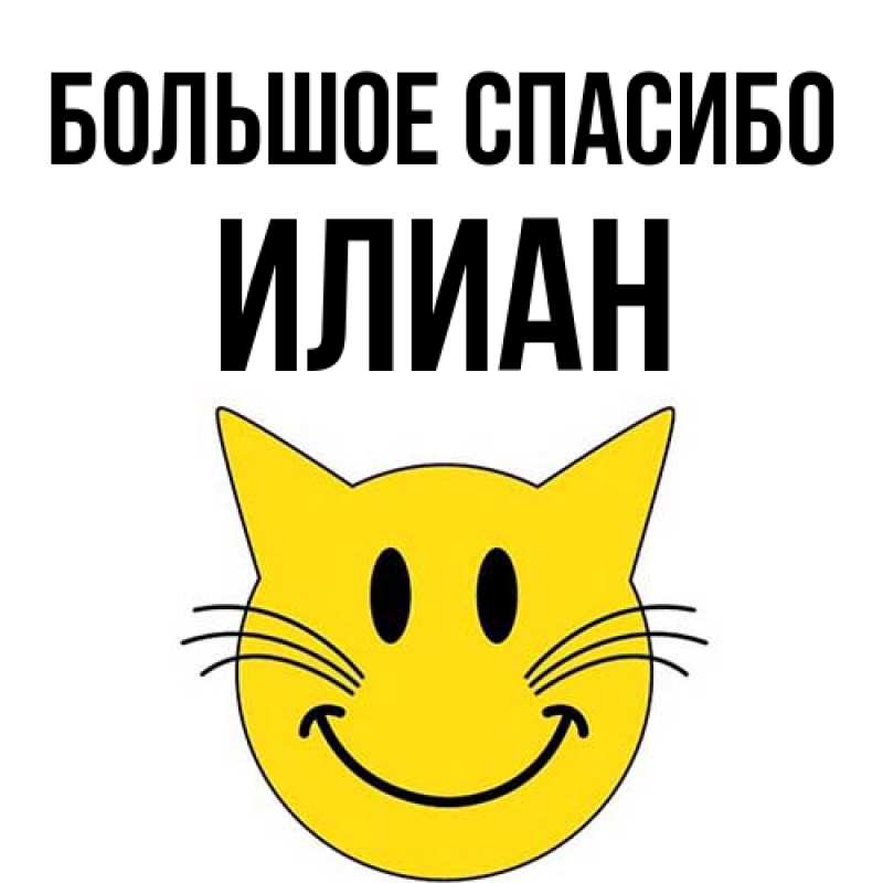 Картинка Большое спасибо, Илиан