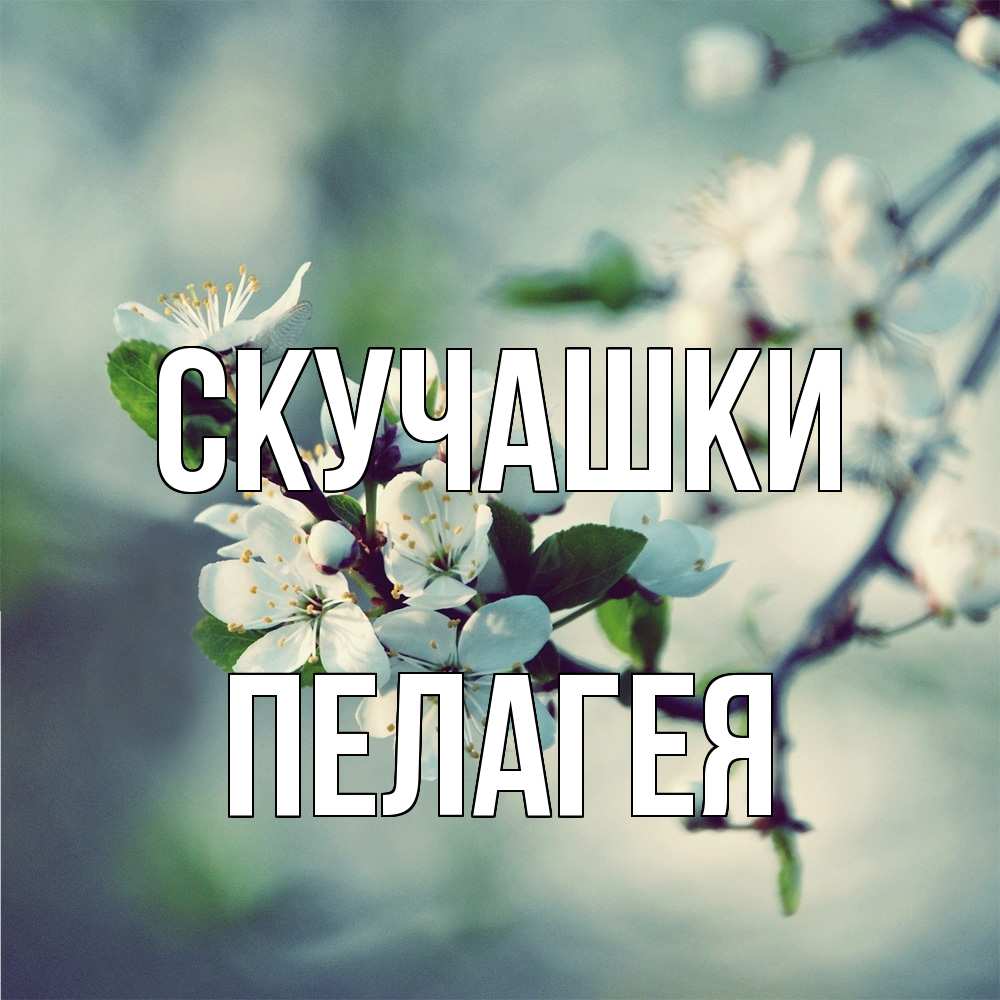 Открытка на каждый день с именем, Пелагея Скучашки весна Прикольная открытка с пожеланием онлайн скачать бесплатно 