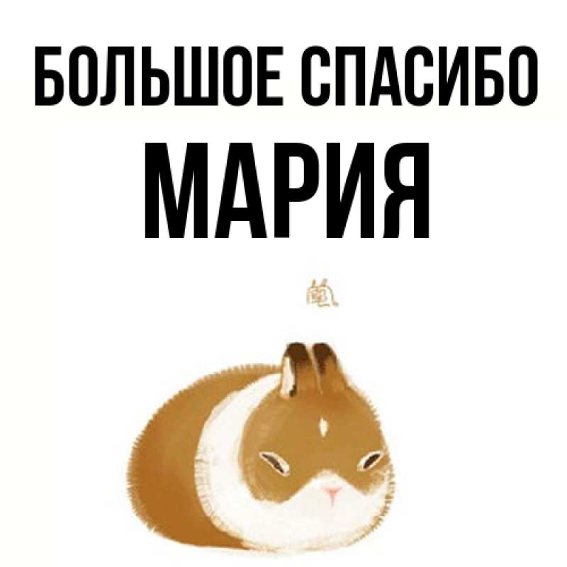 Картинка Большое спасибо, Мария