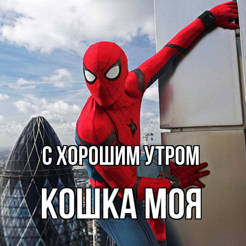 Картинка С хорошим утром, Кошка моя