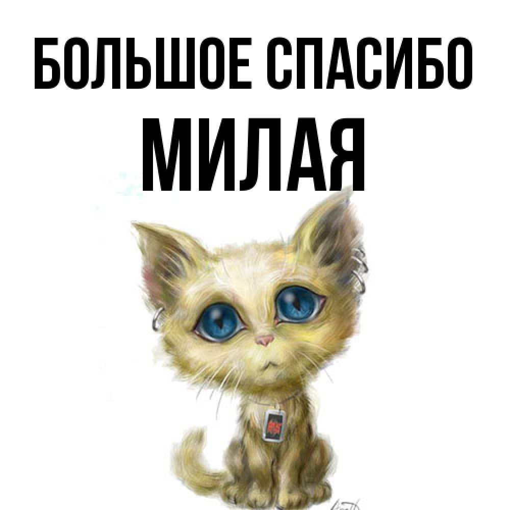 Открытка на каждый день с именем, Милая Большое спасибо рисованный кот благодарит вас Прикольная открытка с пожеланием онлайн скачать бесплатно 