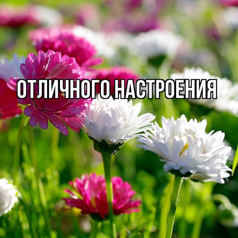 Картинка Люблю тебя, Габриэлла