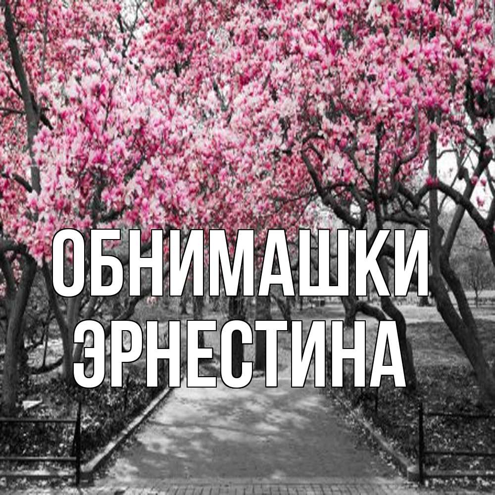 Открытка на каждый день с именем, Эрнестина Обнимашки обработанное фото Прикольная открытка с пожеланием онлайн скачать бесплатно 