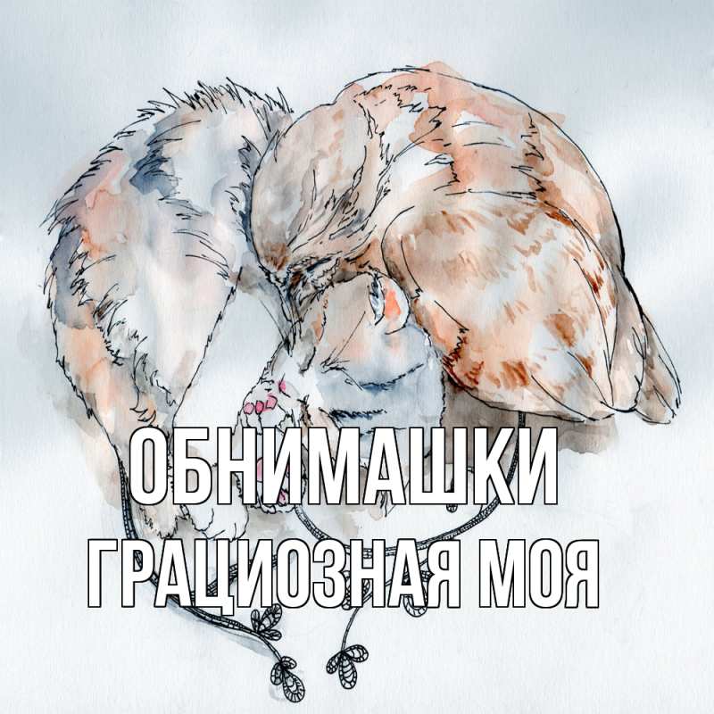 Картинка Обнимашки, Грациозная моя