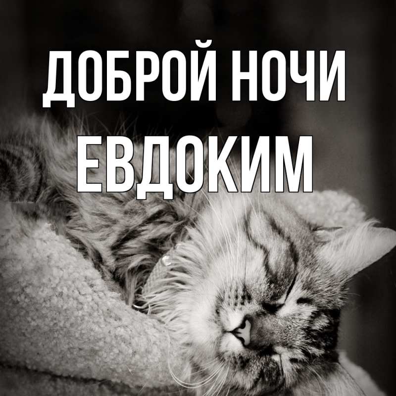 Открытка с именем, Евдоким, Доброй ночи