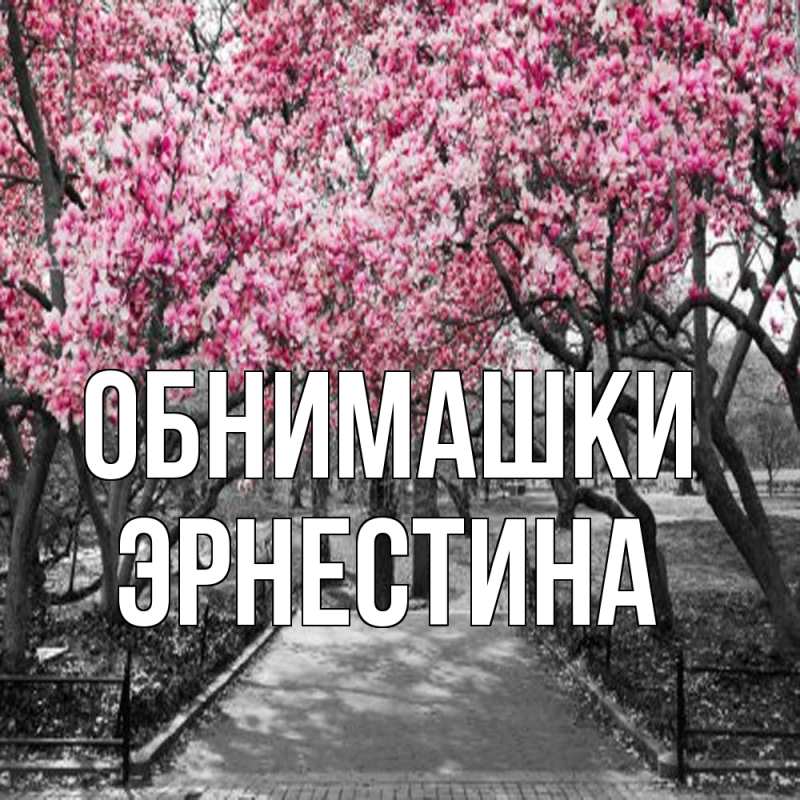 Картинка Обнимашки, Эрнестина