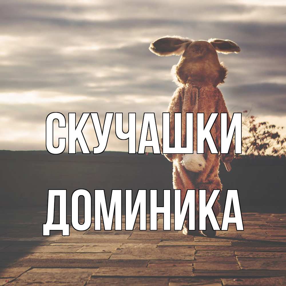Открытка на каждый день с именем, Доминика Скучашки даже в костюме зайца Прикольная открытка с пожеланием онлайн скачать бесплатно 