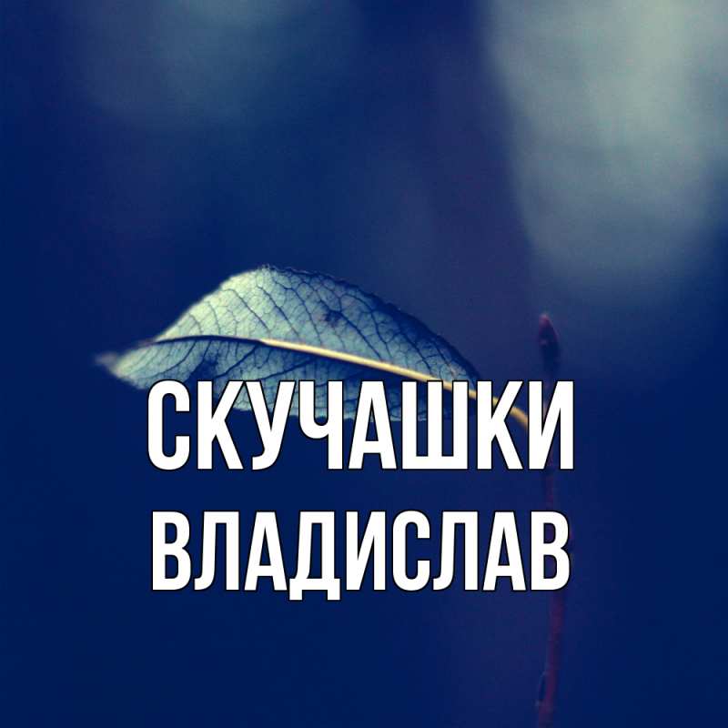Картинка Скучашки, Владислав