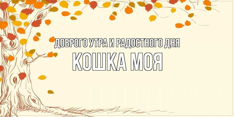 Картинка Доброго утра и радостного дня, Кошка моя