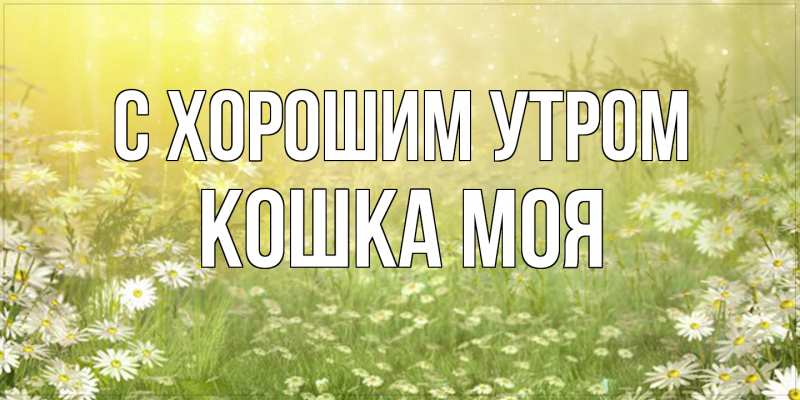 Картинка С хорошим утром, Кошка моя