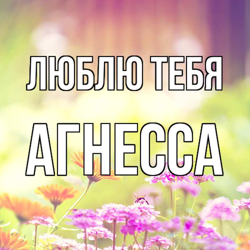 Картинка Люблю тебя, Агнесса