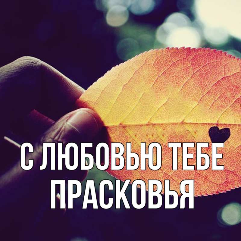 Картинка С любовью тебе, Прасковья