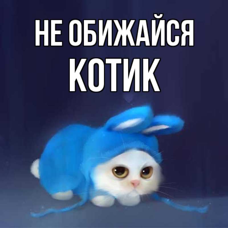 Картинка Не обижайся, Котик
