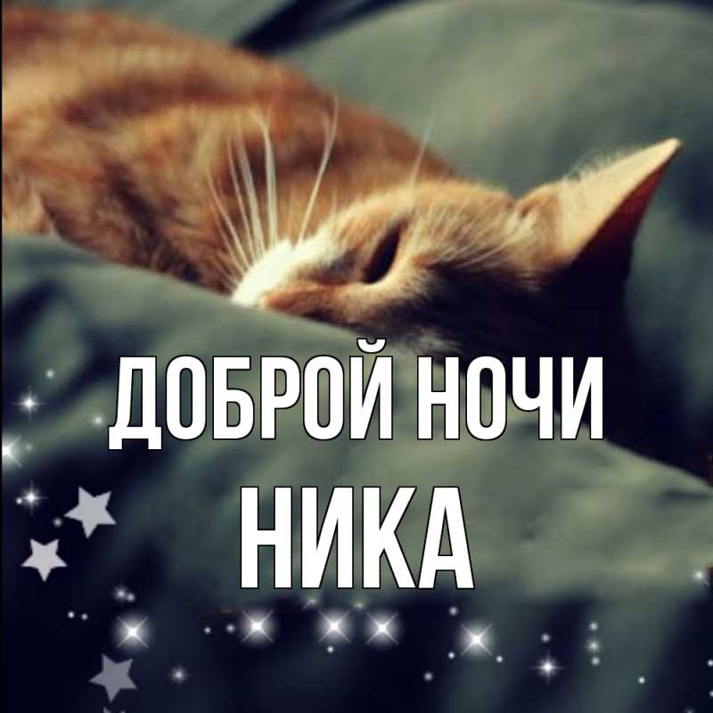 Картинка Доброй ночи, Ника