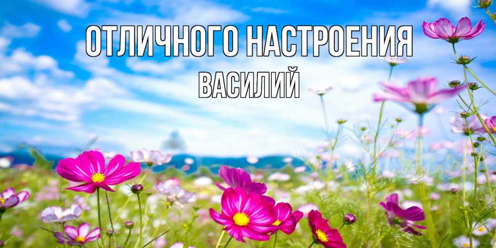 Открытка на каждый день с именем, Василий Отличного настроения поле цветов Прикольная открытка с пожеланием онлайн скачать бесплатно 