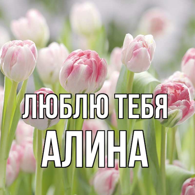 Картинка Люблю тебя, Алина