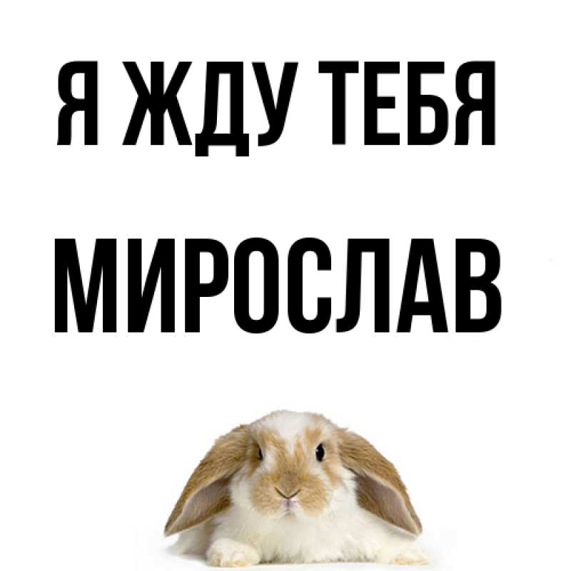 Картинка Я жду тебя, Мирослав