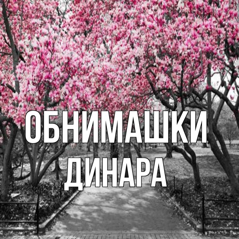 Картинка Обнимашки, Динара