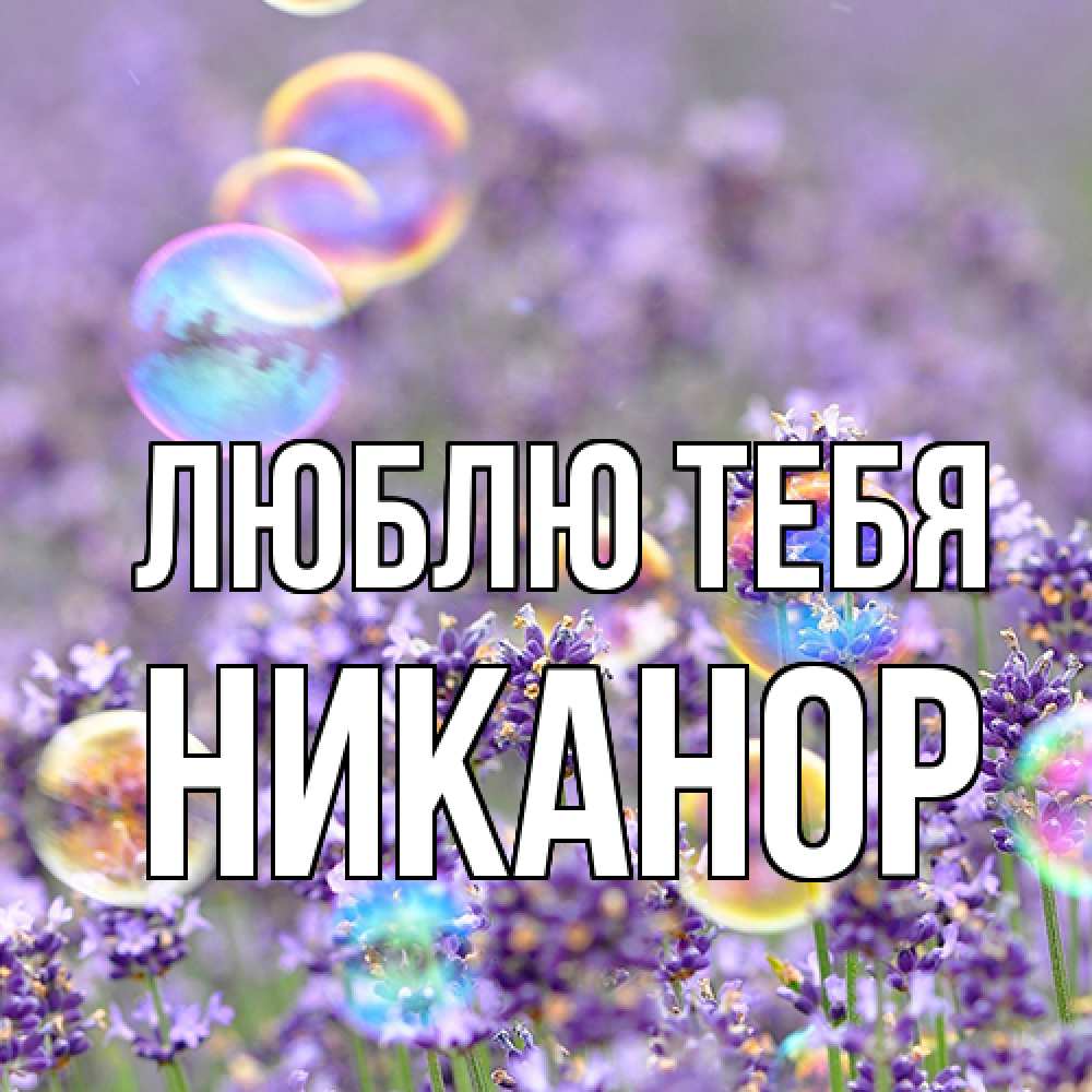 Открытка на каждый день с именем, Никанор Люблю тебя цветы Прикольная открытка с пожеланием онлайн скачать бесплатно 