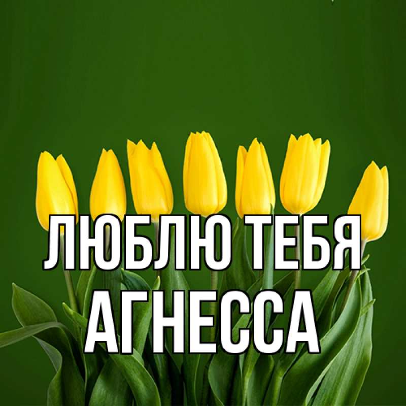 Картинка Люблю тебя, Агнесса