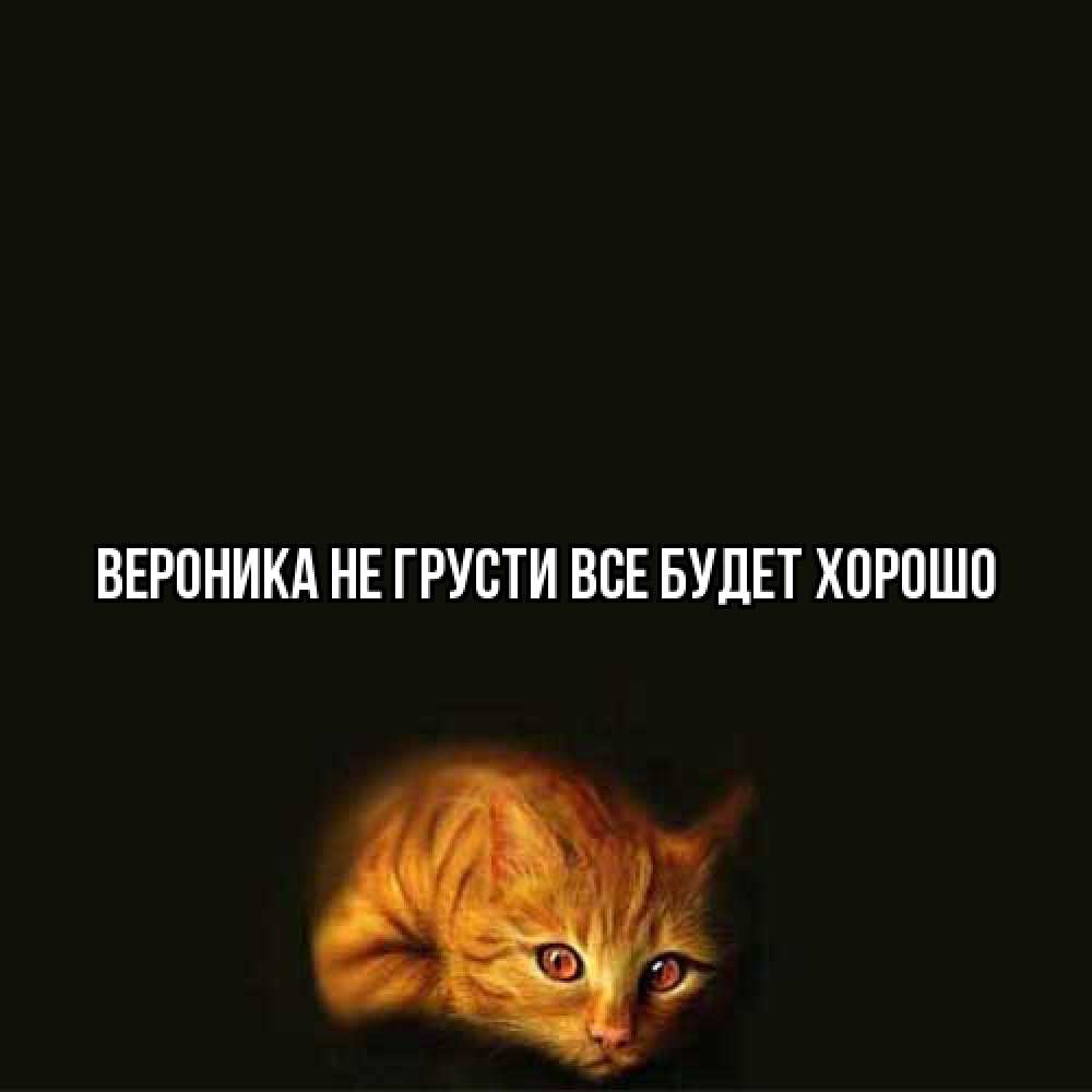 Открытка на каждый день с именем, Вероника Не грусти все будет хорошо лежащий кот в темноте Прикольная открытка с пожеланием онлайн скачать бесплатно 