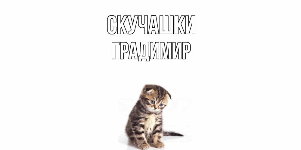 Открытка на каждый день с именем, Градимир Скучашки кот Прикольная открытка с пожеланием онлайн скачать бесплатно 