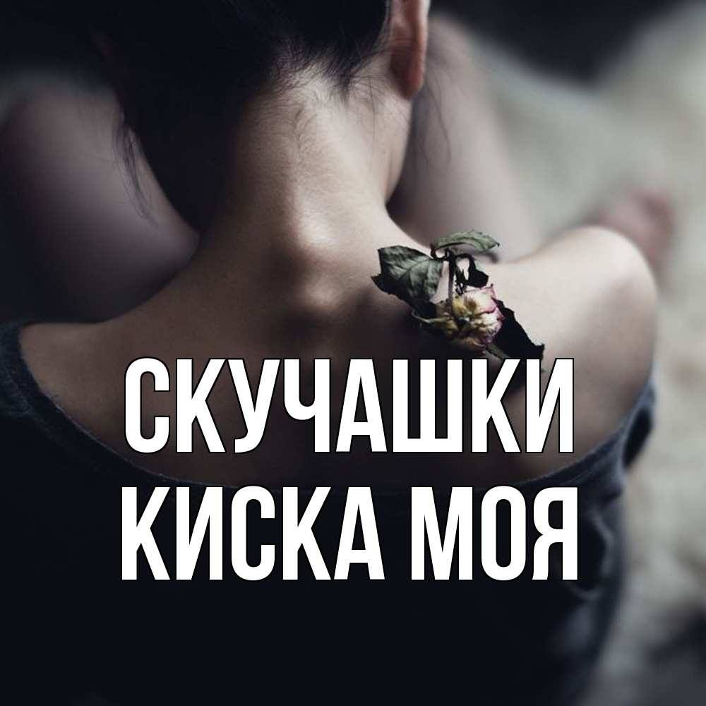 Открытка на каждый день с именем, Киска-моя Скучашки засох цветок Прикольная открытка с пожеланием онлайн скачать бесплатно 