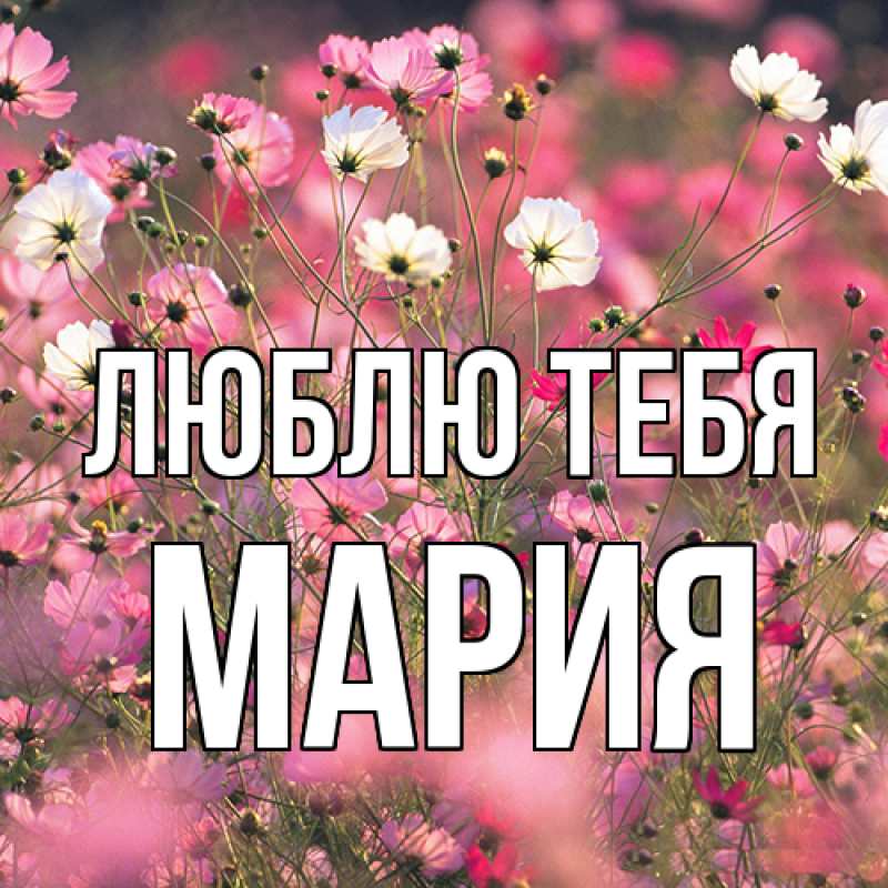 Картинка Люблю тебя, Мария