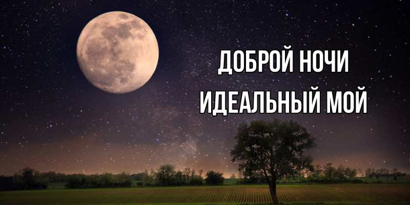Картинка Доброй ночи, Идеальный мой