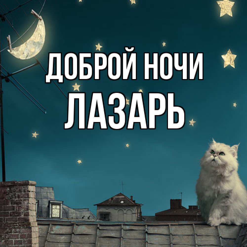 Открытка на каждый день с именем, Лазарь Доброй ночи белый кот сидит на крыше Прикольная открытка с пожеланием онлайн скачать бесплатно 