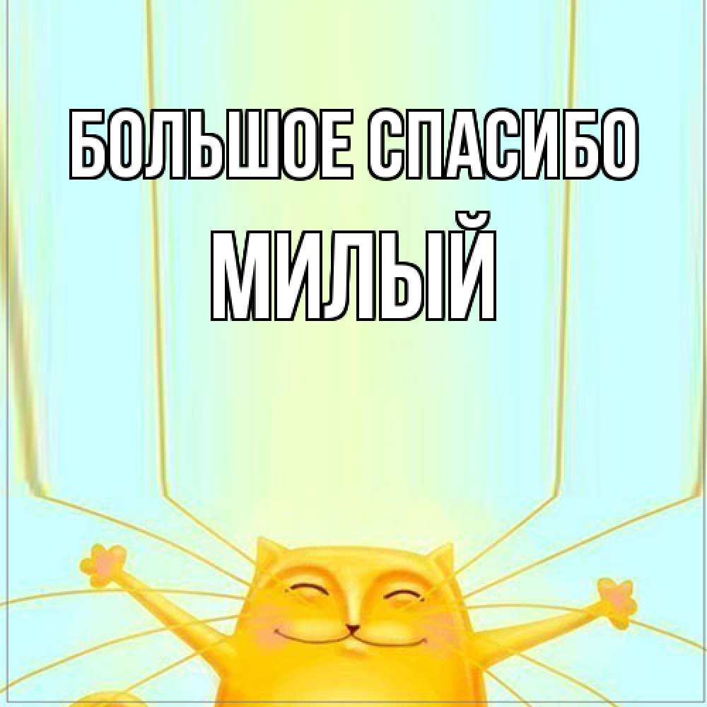 Открытка на каждый день с именем, Милый Большое спасибо кот с усами благодарит Прикольная открытка с пожеланием онлайн скачать бесплатно 