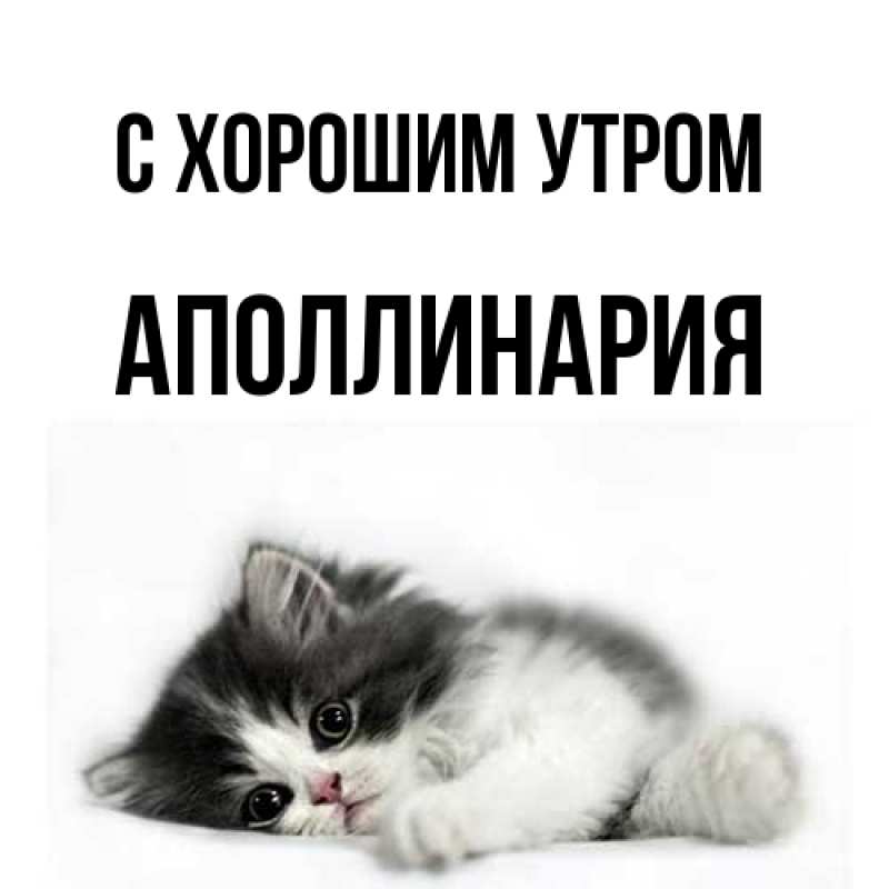 Картинка С хорошим утром, Аполлинария