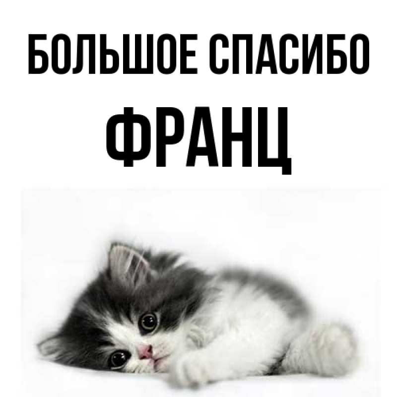Открытка с именем, Франц, Большое спасибо