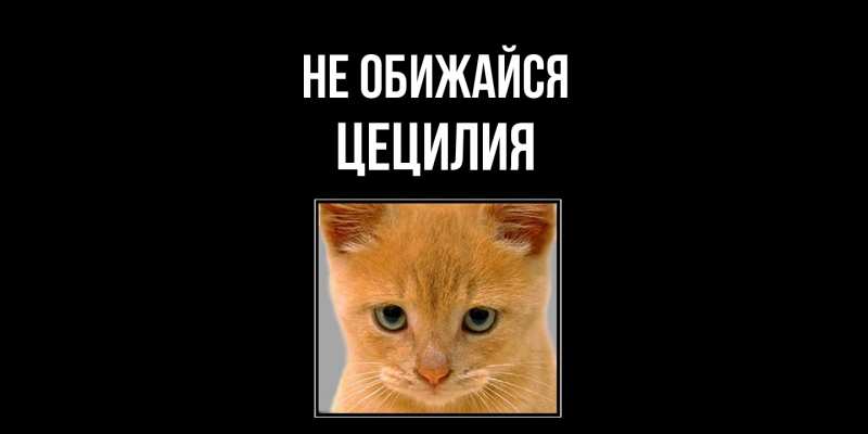 Открытка с именем, Цецилия, Не обижайся