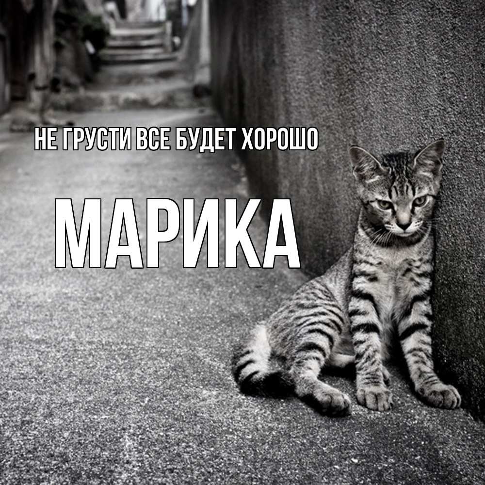 Открытка на каждый день с именем, Марика Не грусти все будет хорошо скучающий котик Прикольная открытка с пожеланием онлайн скачать бесплатно 