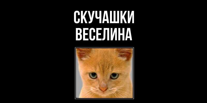 Открытка с именем, Веселина, Скучашки