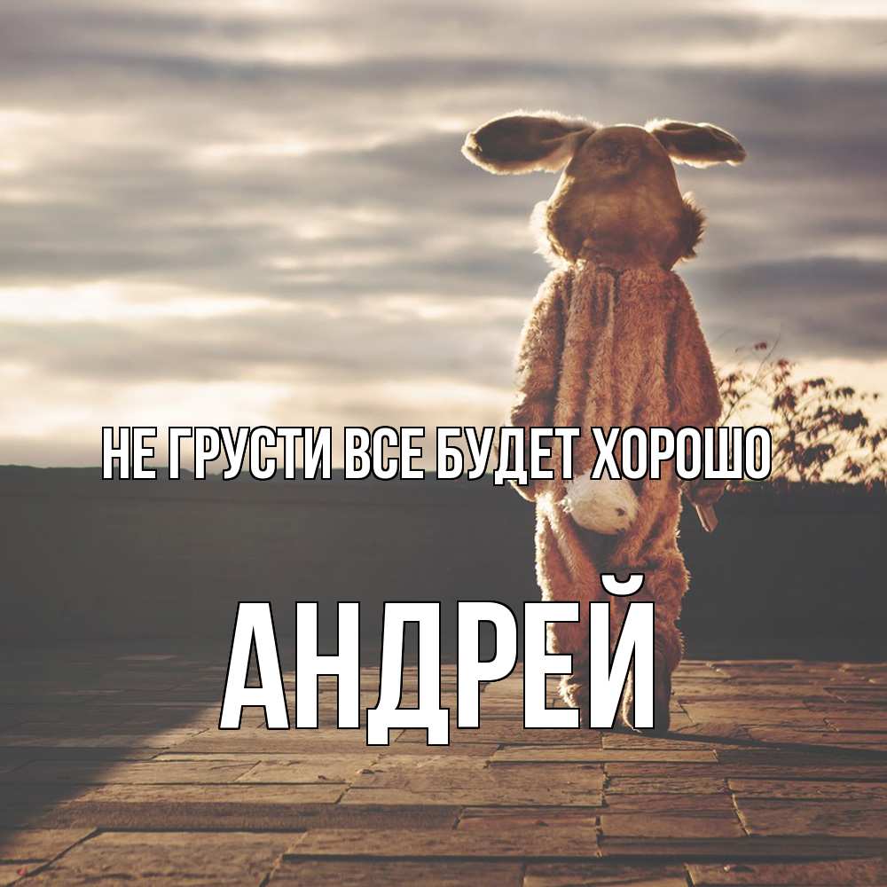 Открытка на каждый день с именем, Андрей Не грусти все будет хорошо со спины Прикольная открытка с пожеланием онлайн скачать бесплатно 