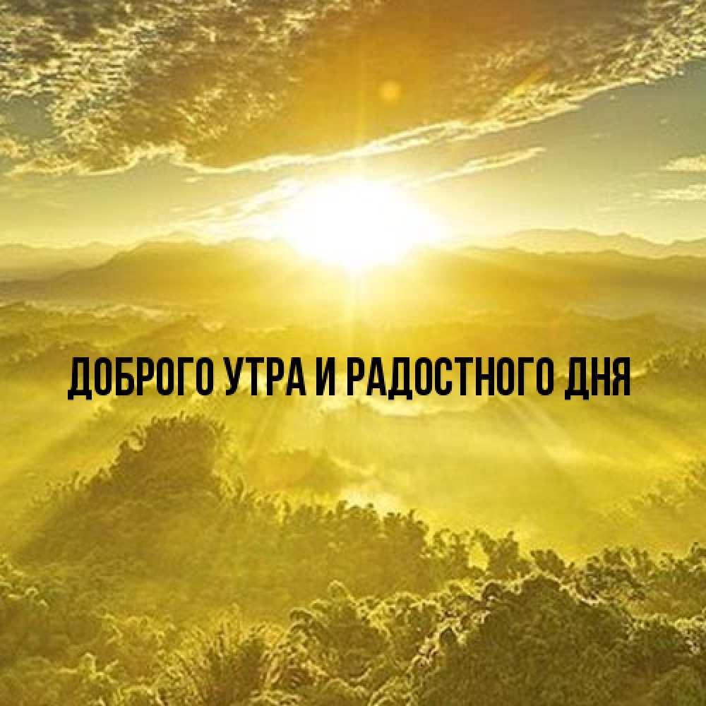 Открытка на каждый день с именем, Аполлинария От всей души тебе леса и небо в желтом Прикольная открытка с пожеланием онлайн скачать бесплатно 