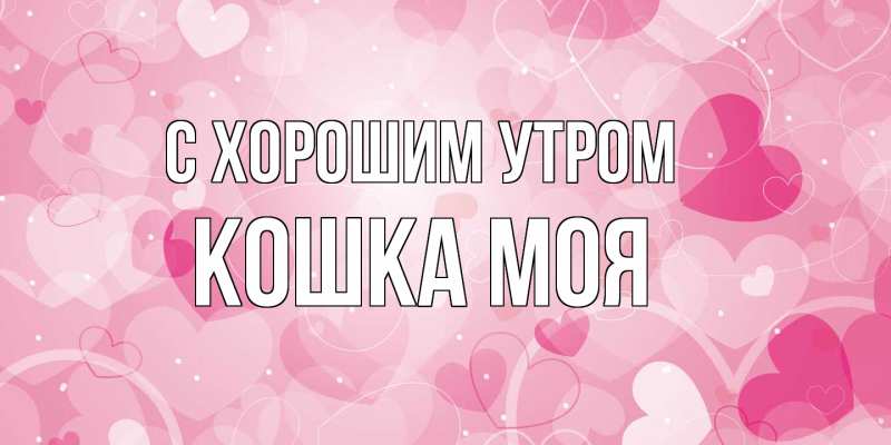 Картинка С хорошим утром, Кошка моя