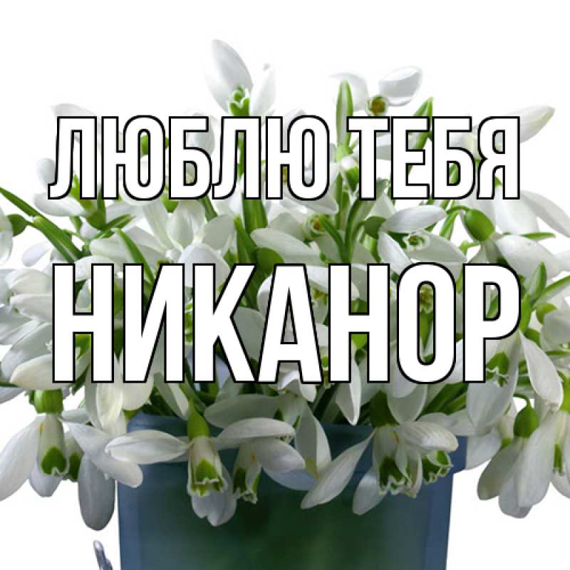 Картинка Люблю тебя, Никанор