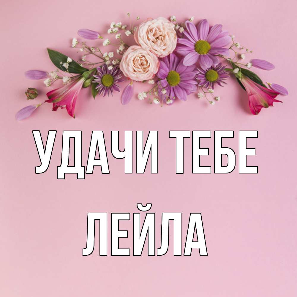 Открытка на каждый день с именем, Лейла Удачи тебе розовый фон Прикольная открытка с пожеланием онлайн скачать бесплатно 