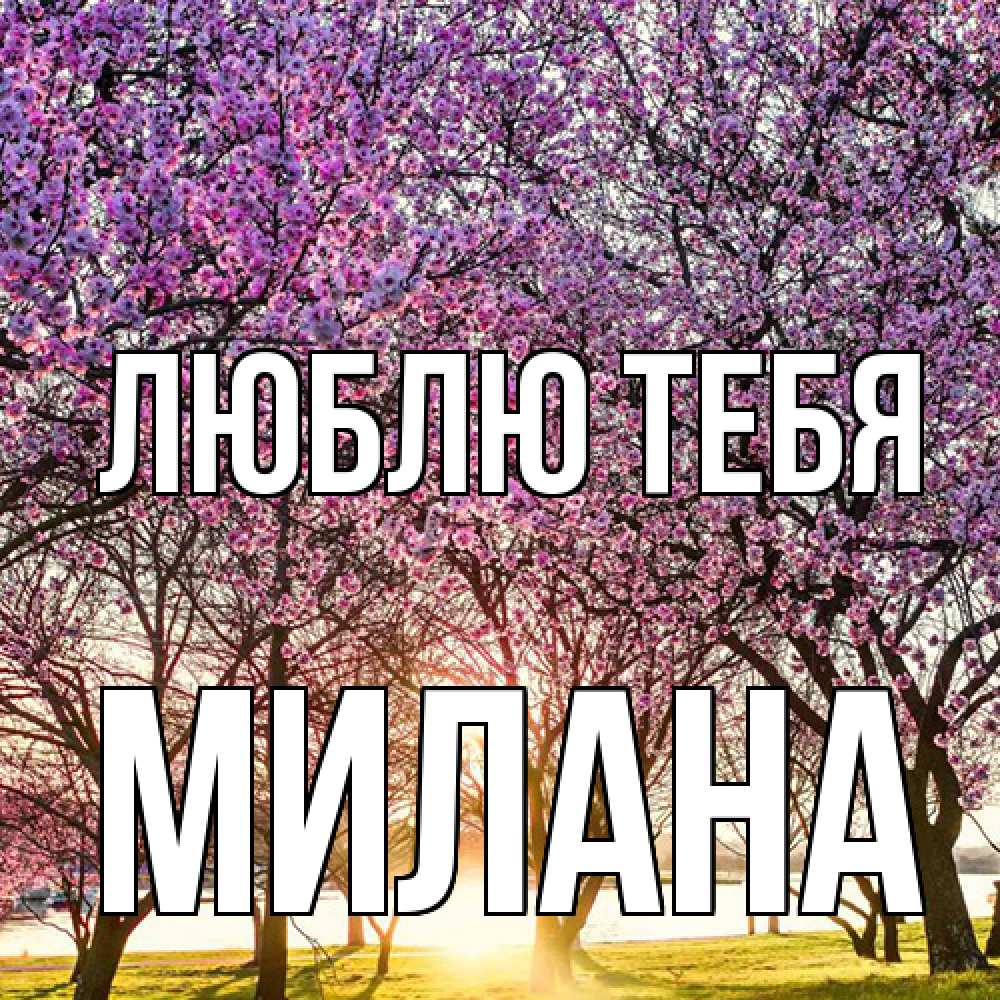 Открытка на каждый день с именем, Милана Люблю тебя международный женский день Прикольная открытка с пожеланием онлайн скачать бесплатно 