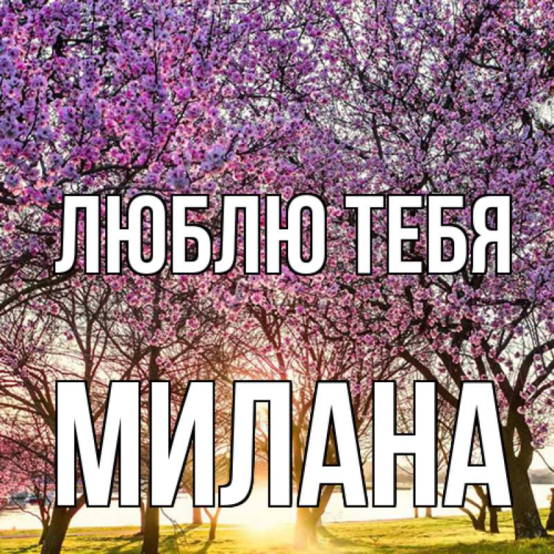 Картинка Люблю тебя, Милана